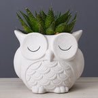 Flower pot ceramic indoor creative simple desktop small animal flower ornaments