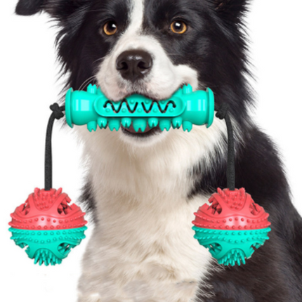 Dog Chew Toys Pet Toothbrush Rubber Bones Teeth Cleaning