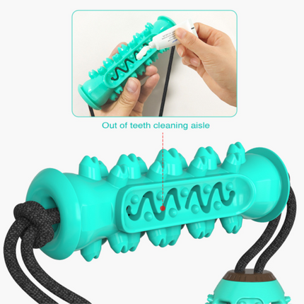 Dog Chew Toys Pet Toothbrush Rubber Bones Teeth Cleaning