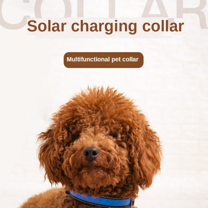 LED solar luminous collar charging flash collar Teddy luminous neck rope pet supplies dog collar accessories