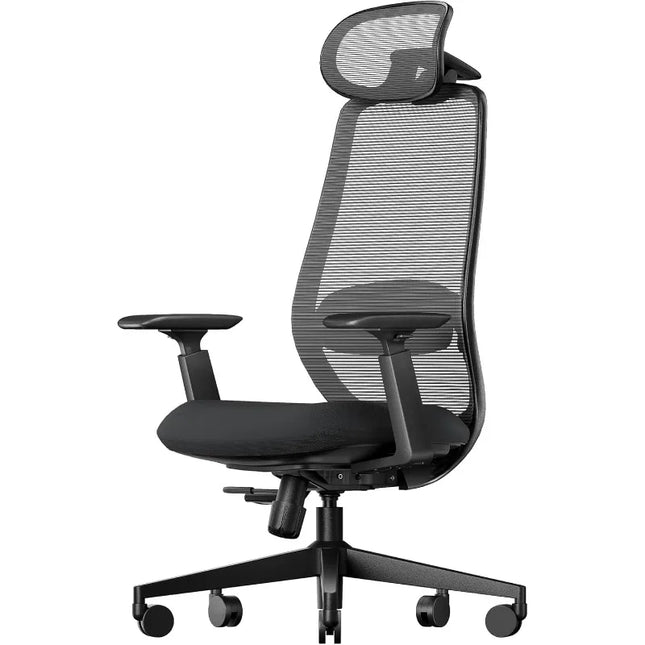 Ergonomic Office Chair – EC200 High-Back Mesh Computer Chair with Lumbar Support, 3D Adjustable Headrest & Sliding Seat