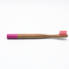 Natural Bamboo Toothbrush