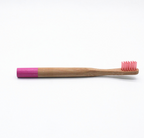 Natural Bamboo Toothbrush