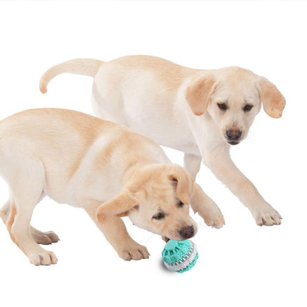 eco-friendly rubber food leak toy