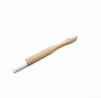 Natural Bamboo Toothbrush