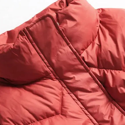 Winter Warm Coat Women's Fashion New Solid Color Hood Filled Down Cotton Coat Women's Clothing Winter Jacket Women Winter Coat