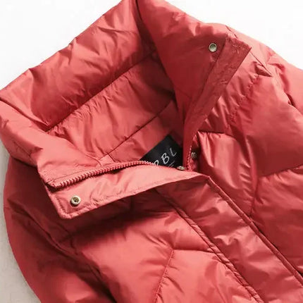 Winter Warm Coat Women's Fashion New Solid Color Hood Filled Down Cotton Coat Women's Clothing Winter Jacket Women Winter Coat