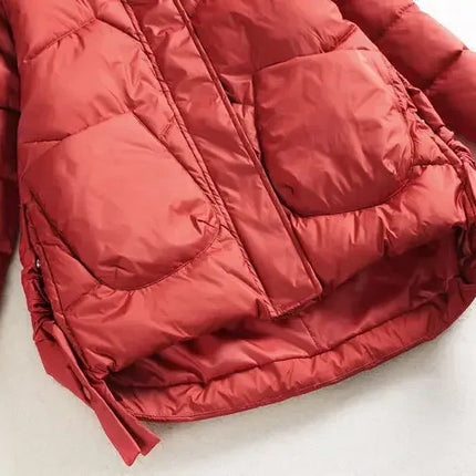 Winter Warm Coat Women's Fashion New Solid Color Hood Filled Down Cotton Coat Women's Clothing Winter Jacket Women Winter Coat