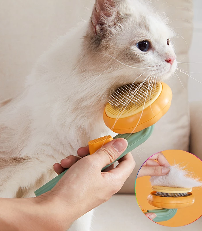 <h2>Pet Care Accessories</h2>