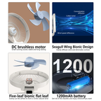 Household Dual-use Portable Fan