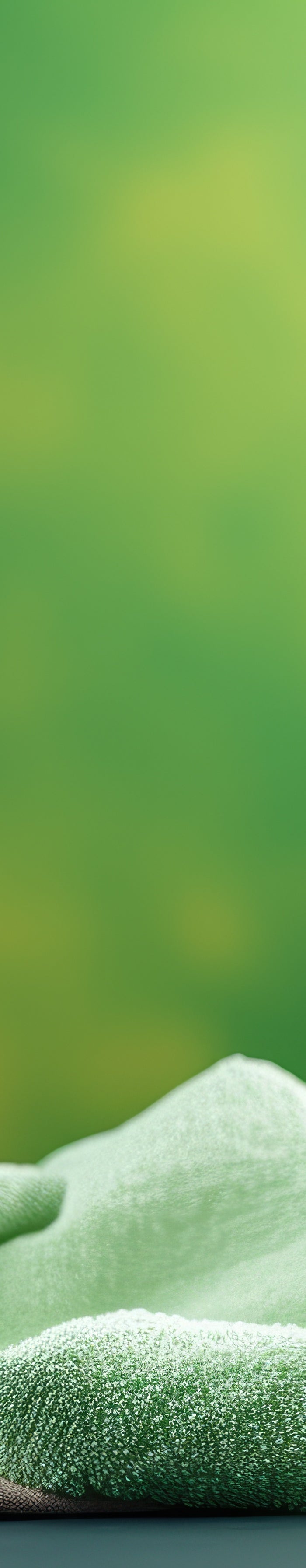 <h2>Green Cleaning</h2>